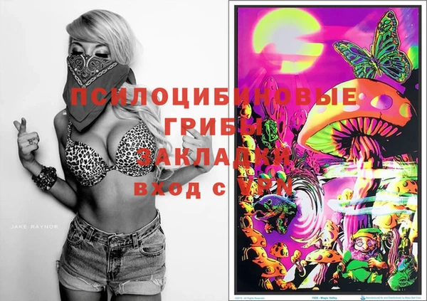 PSILOCYBIN Верхнеуральск