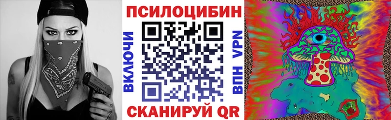 сайты даркнета Telegram Богучар Псилоцибиновые грибы прущие грибы